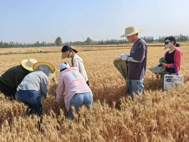 14dbc3d25af06db5f6afa05ecc616e6